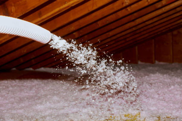 Garage Insulation Installation in Pocahontas, IA