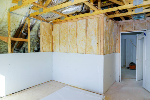 Best Insulation for New Construction  in Pocahontas, IA