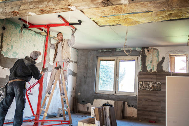 Best Insulation Contractors for Homes  in Pocahontas, IA