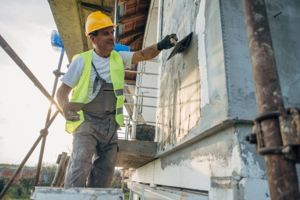 Best Professional Insulation Contractor  in Pocahontas, IA