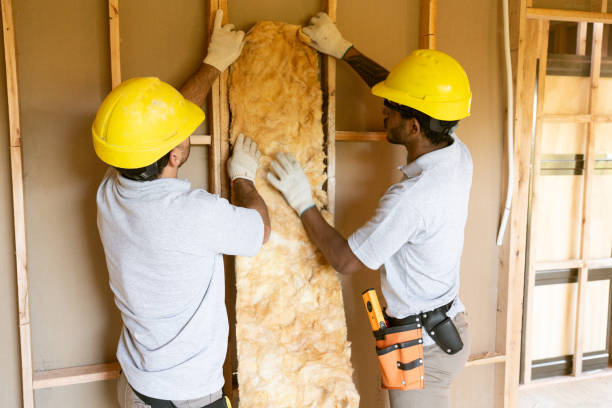 Best Insulation Repair Services  in Pocahontas, IA