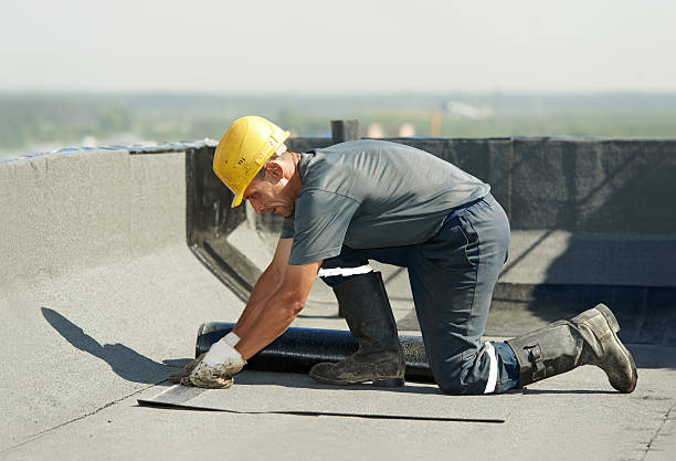 Best Insulation Removal  in Pocahontas, IA