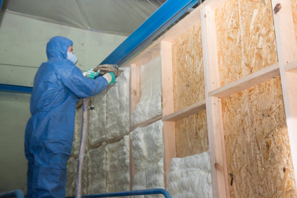 Attic Insulation Near Me in Pocahontas, IA
