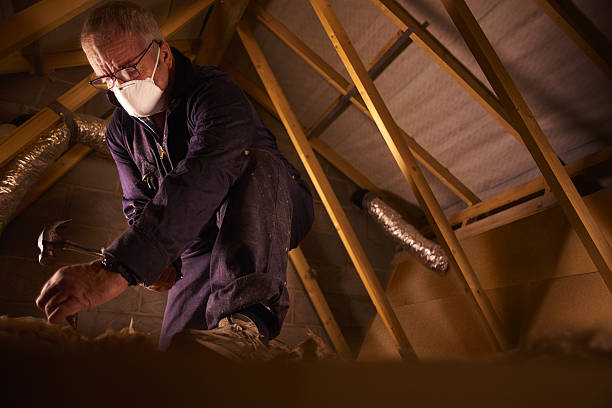 Best Spray Foam Insulation  in Pocahontas, IA