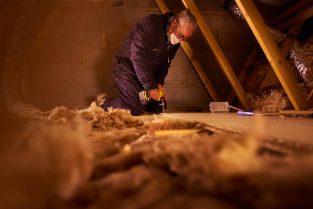 Best Attic Insulation Near Me  in Pocahontas, IA